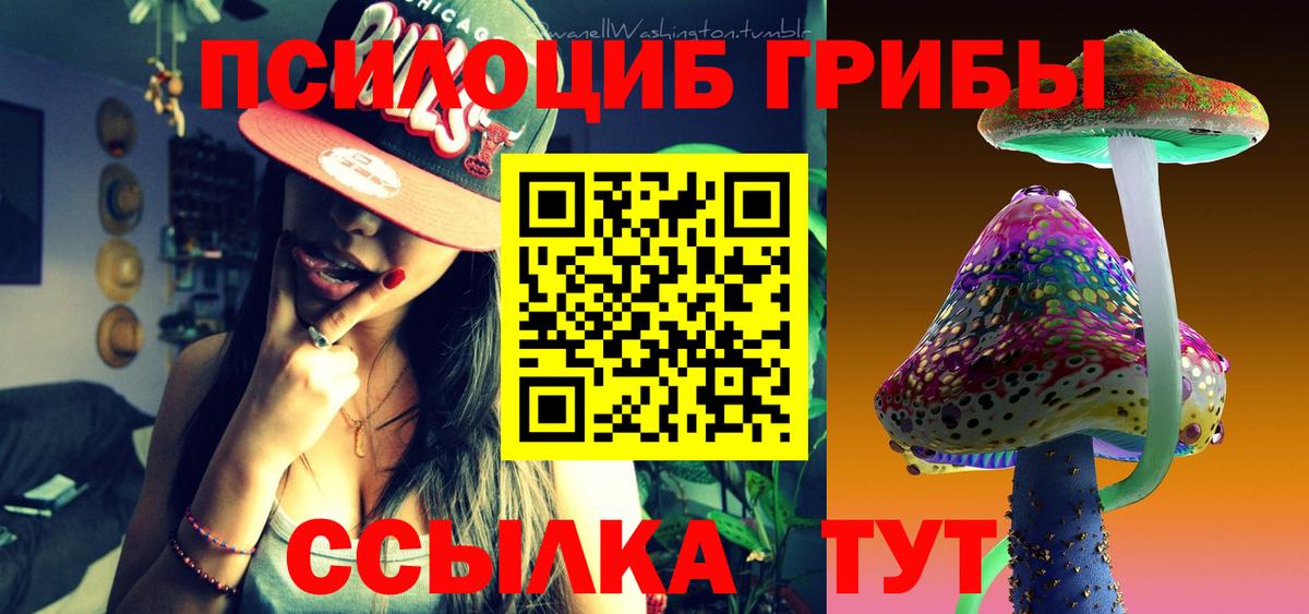 Галлюциногенные грибы Psilocybine cubensis  Вход с VPN  Псилоцибиновые грибы GOLDEN TEACHER  Кохма 