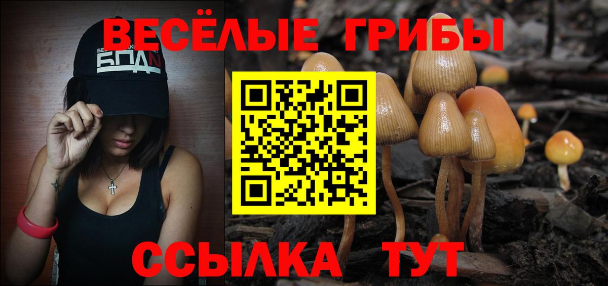 Псилоцибиновые грибы ЛСД Кохма