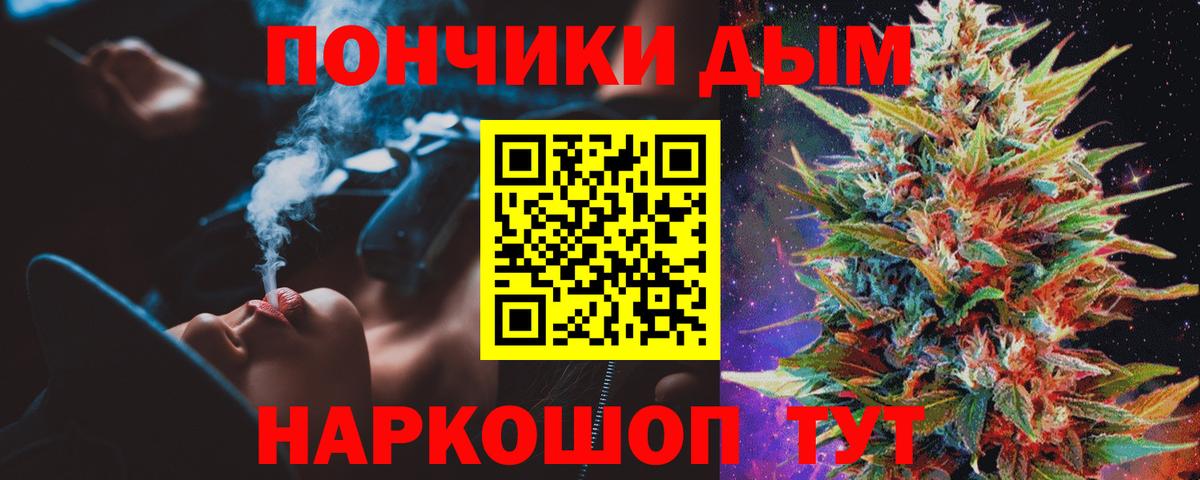 Марихуана сатива Кохма